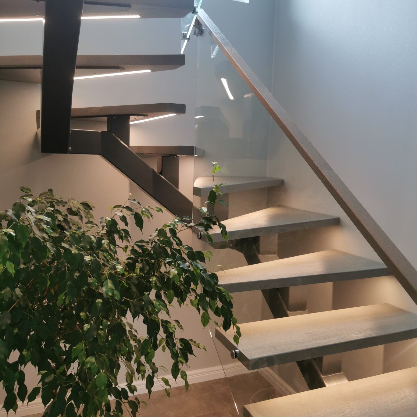 259415403_450807743047844_6512050744035020463_n